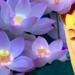 Phật dạy làm thế nào để giữ gìn phúc khí và tránh mọi nghiệp báo…